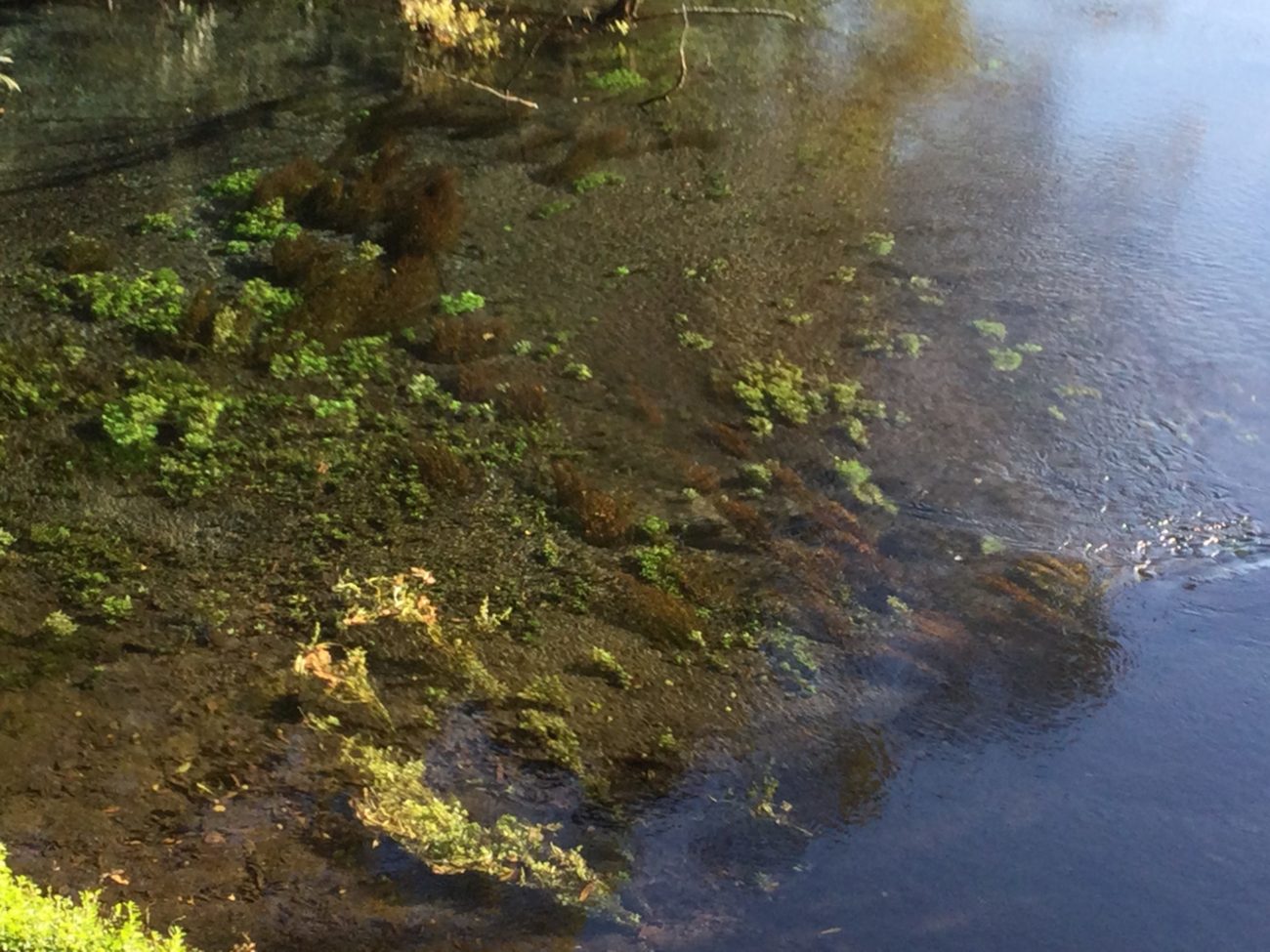 ふぃふすでぃめんしょん 26たん たん たん たん うさと